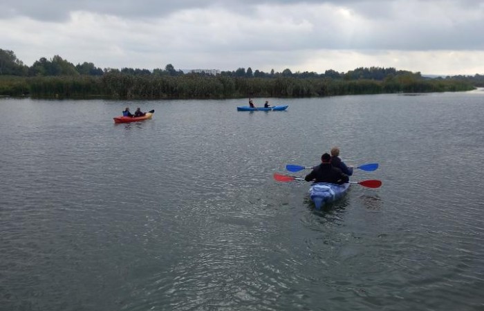 MicrosoftTeams-image (5)