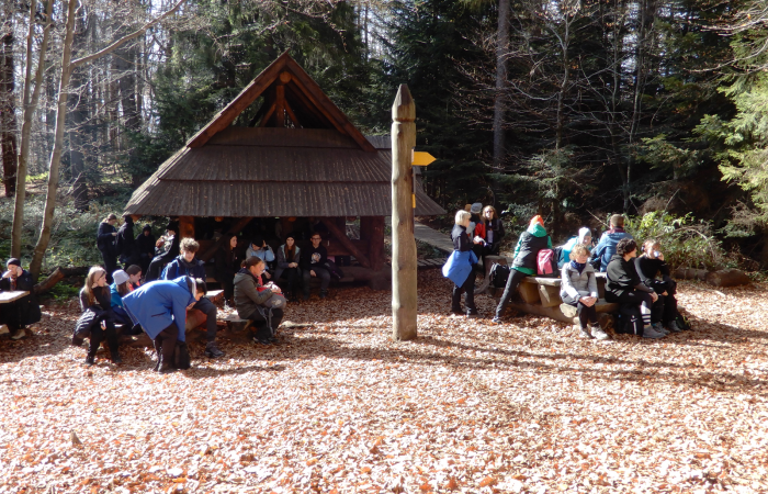 MicrosoftTeams-image (40)