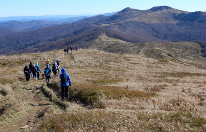 MicrosoftTeams-image (41)