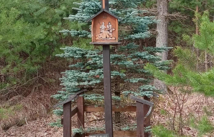 MicrosoftTeams-image (85)