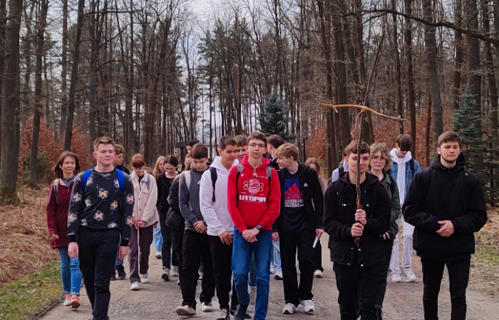 MicrosoftTeams-image (91)