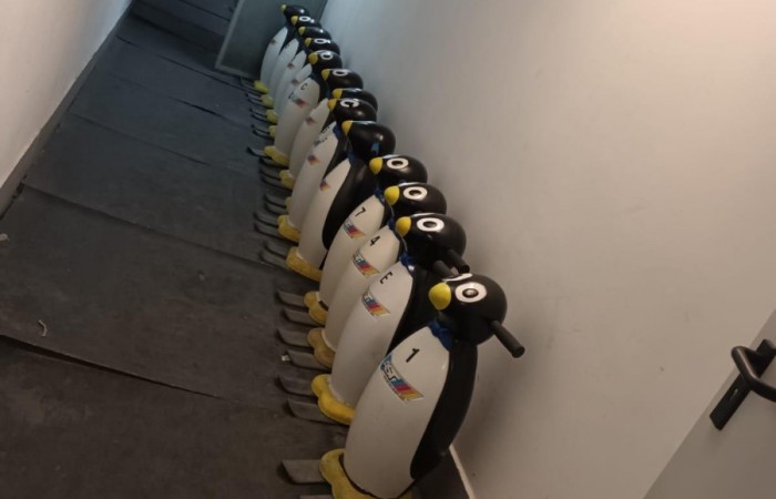 MicrosoftTeams-image (7)