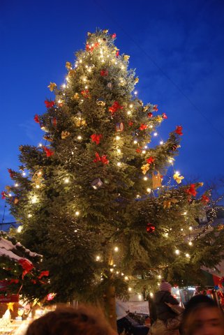 Gersheim - Trójstronne Spotkanie Bożonarodzeniowe Polska-Ukraina-Niemcy