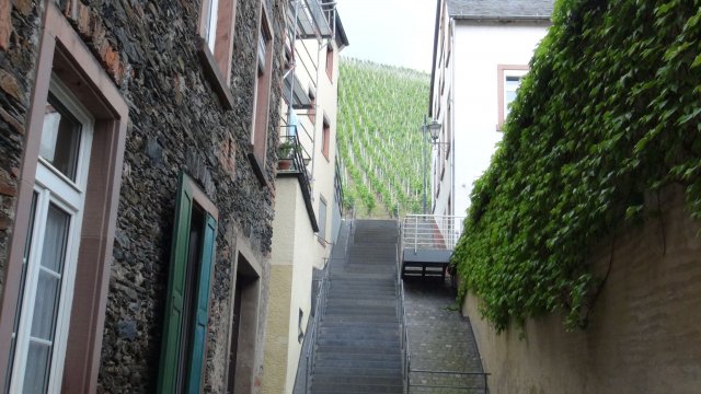 Drugie spotkanie młodzieży polsko-niemieckiej w Traben-Trarbach 2014