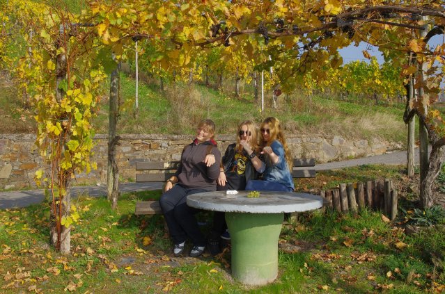 Spotkanie młodzieży w Traben-Trarbach październik 2012