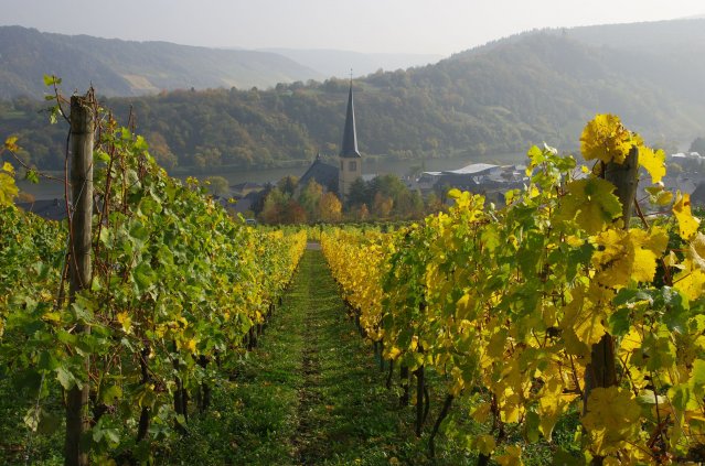 Spotkanie młodzieży w Traben-Trarbach październik 2012